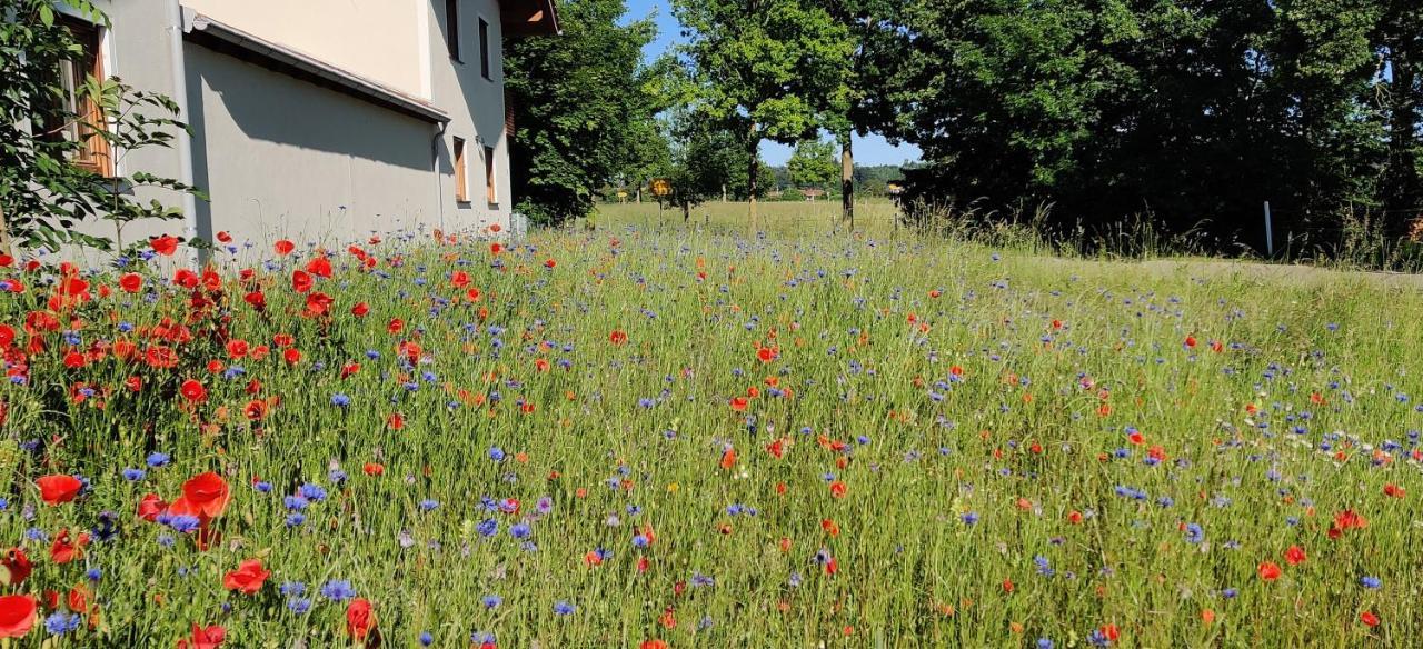 Ferienwohnung Ponlach Tittmoning Zewnętrze zdjęcie